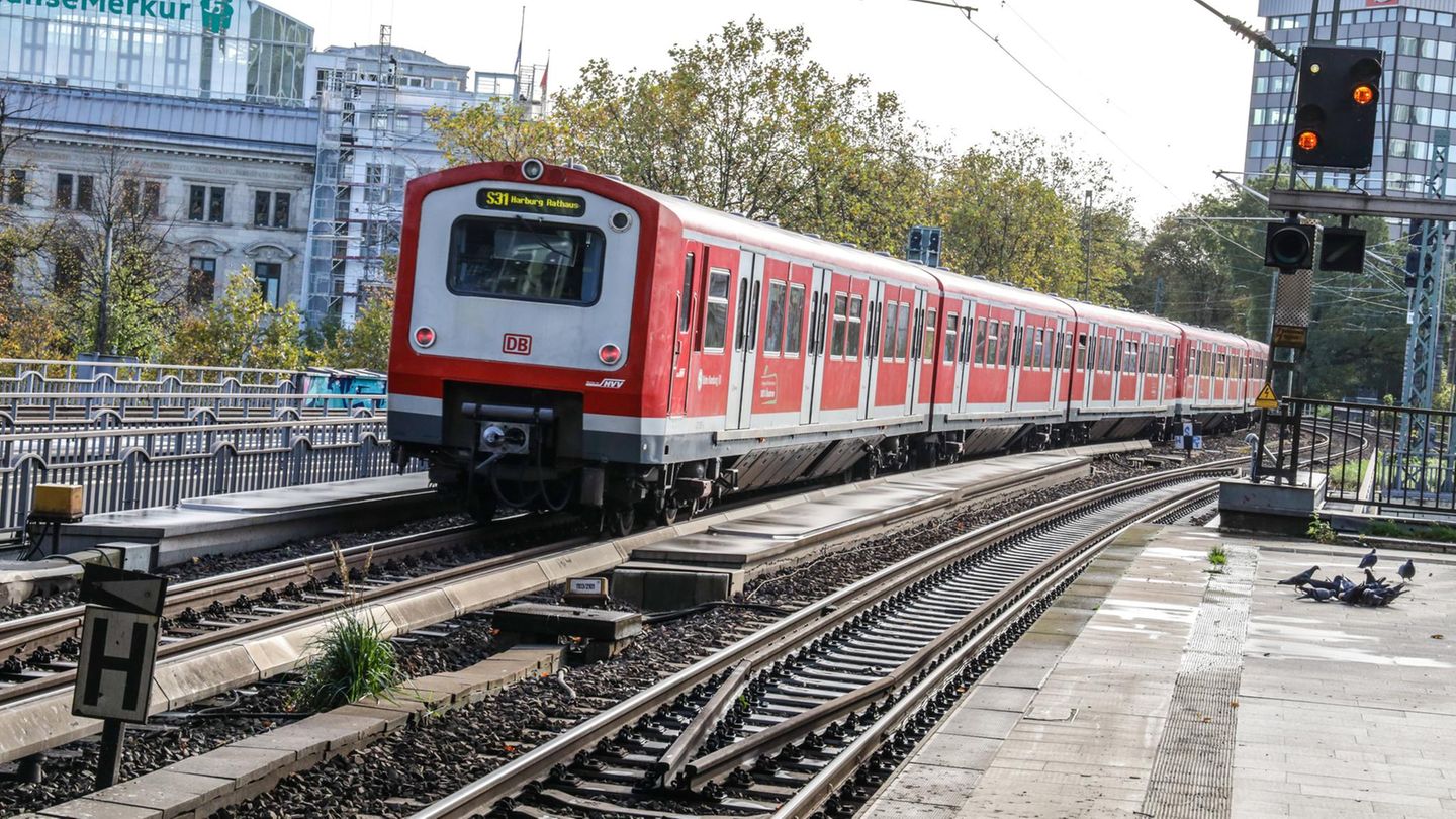 Hamburg: Notbremsung und Streckensperrung, weil ein Mann in einen S-Bahn-Tunnel pinkelt