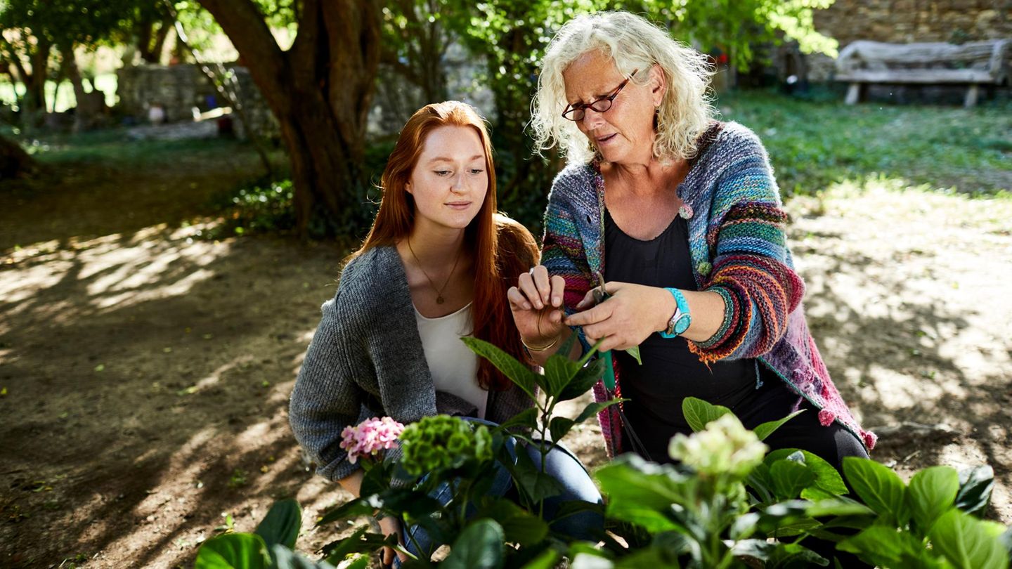 Grün im Schatten: Wie aus dunklen Gartenecken lebendige Rückzugsorte werden