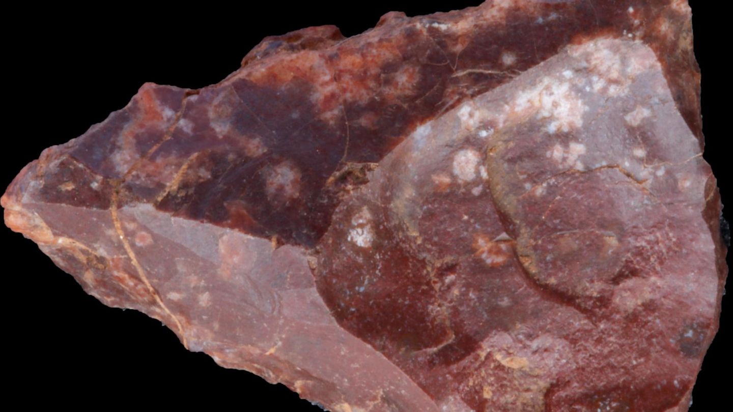 Archäologie: Steinzeitmenschen liebten bunte Werkzeuge