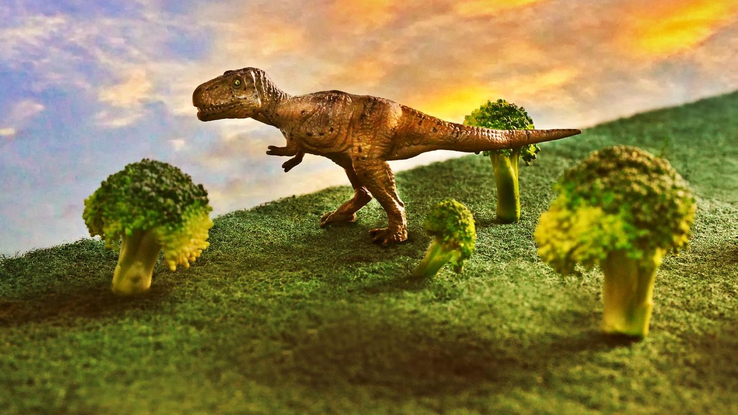 Fünf Irrtümer: Warum der T-Rex besser ist als sein Ruf