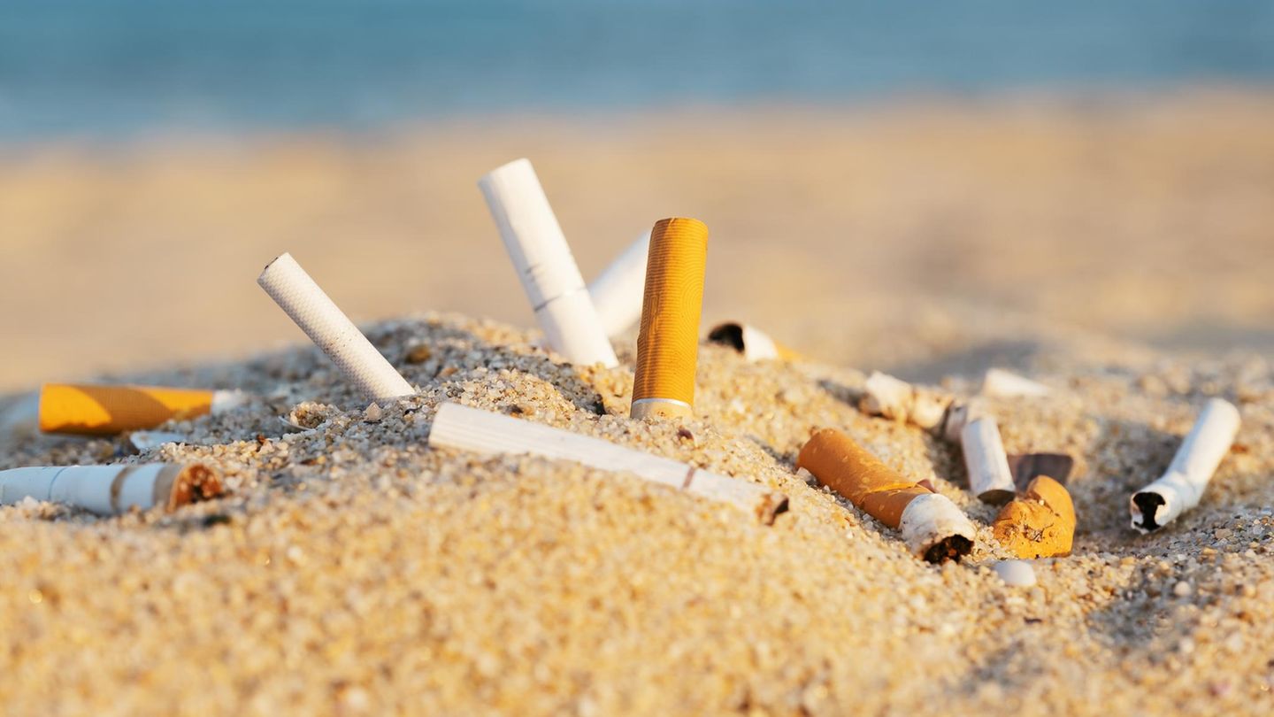 Achtung verboten!: Sandburgen, Kippen und Badehandtücher am Strand? Das kann teuer werden