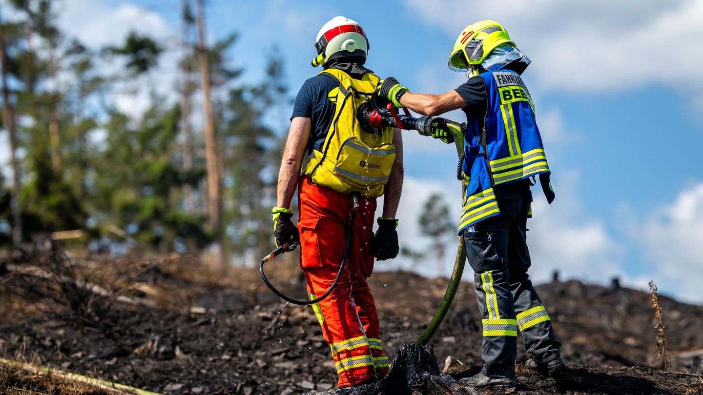 Waldbrände: Hunderte Feuerwehrleute kämpfen gegen Flammen in Thüringen und Sachsen