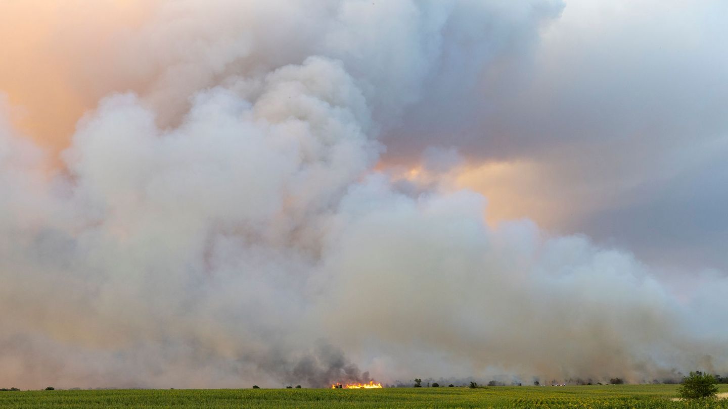 Waldbrand: Feuer in Sachsen und Brandenburg weiterhin nicht unter Kontrolle