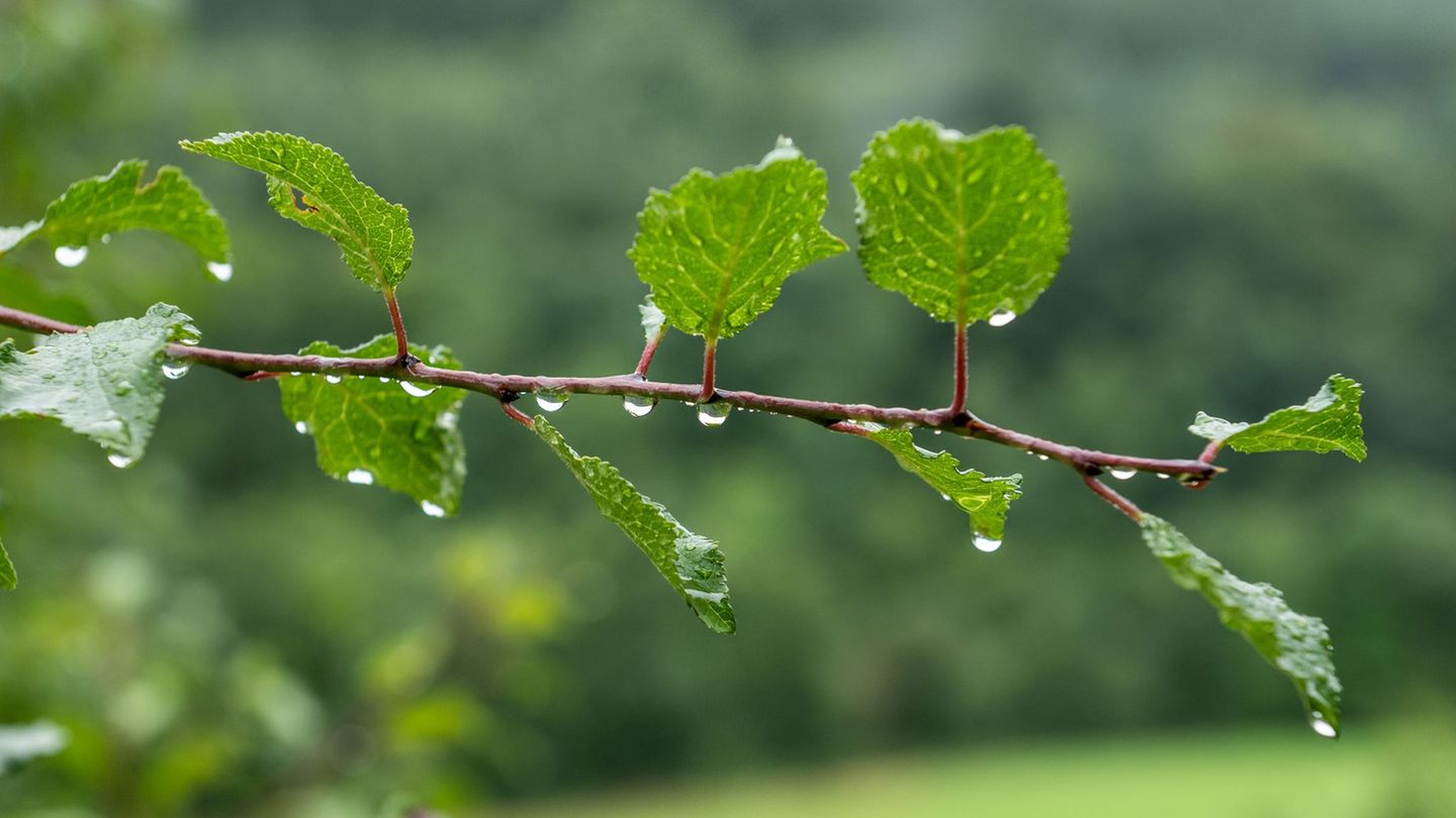 Tief Karlheinz: Wetter in Hessen bleibt wechselhaft