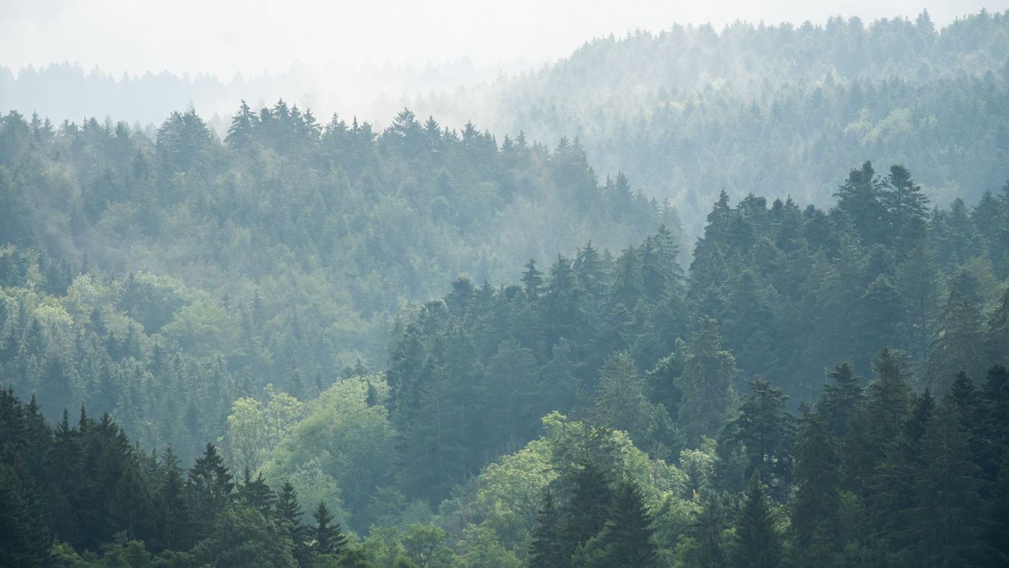 Wetter: Tschüss Grau: Sonnigeres Wetter zur Wochenmitte