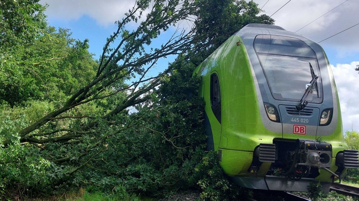 Zugverkehr: Zug mit gut 200 Fahrgästen fährt gegen umgestürzten Baum