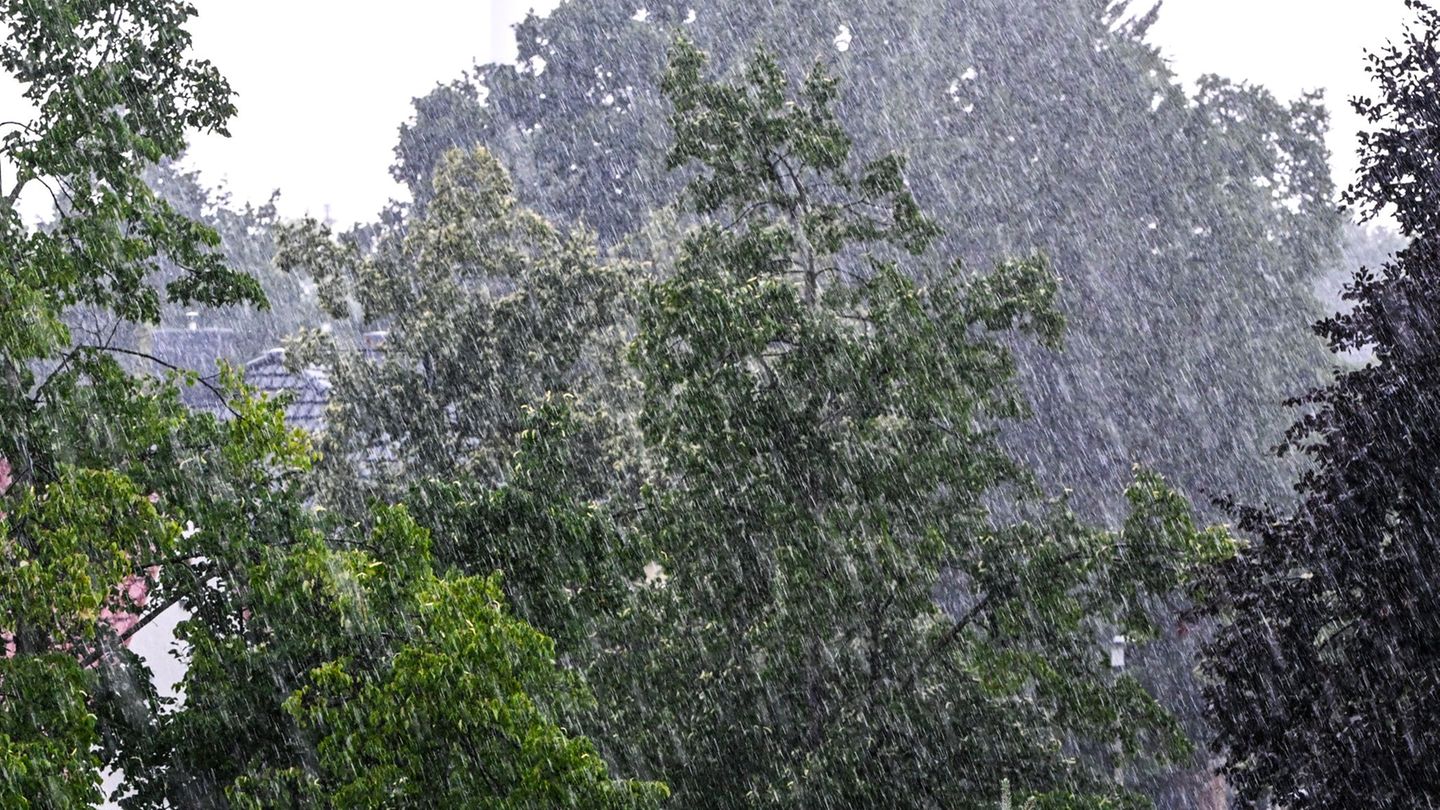 Wetter: Trübes Wetter in der Hauptstadtregion