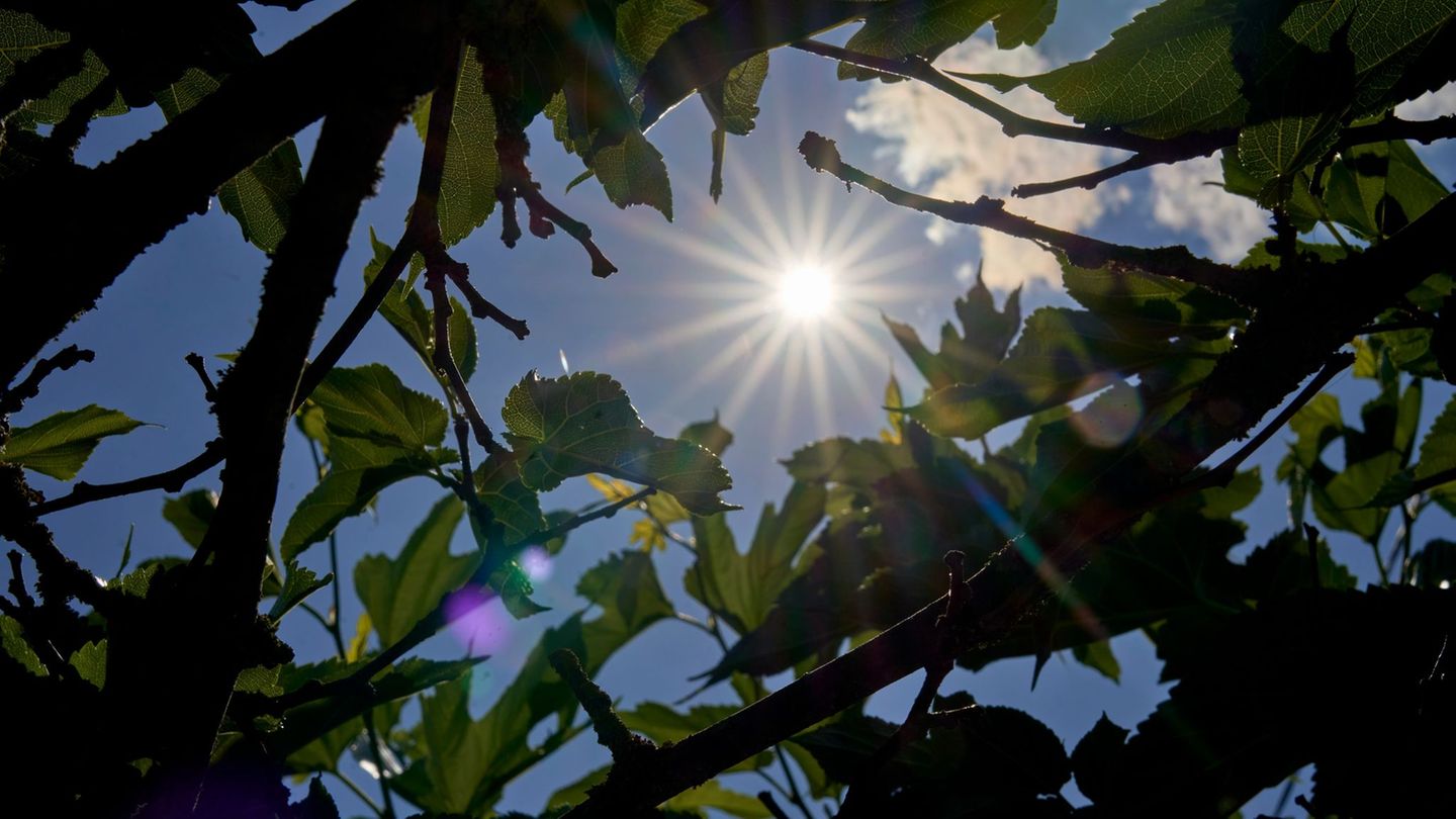 Wetteraussichten: Der Sommer kehrt zurück