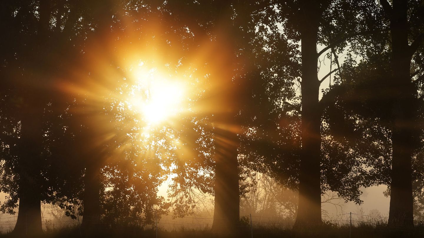Wetterbericht: Hitzewellchen im Südwesten: Wo wird 30-Grad-Marke geknackt?