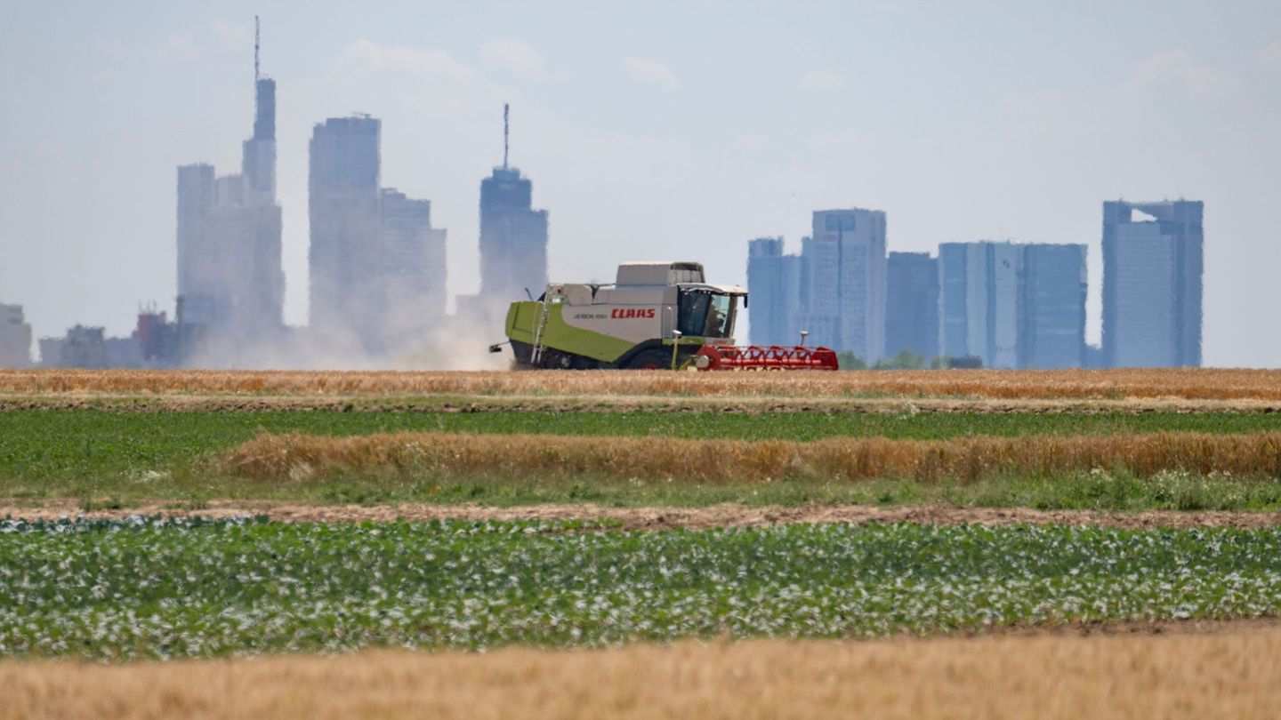 Ernte: Landwirte hoffen auf Sonne und trockene Böden