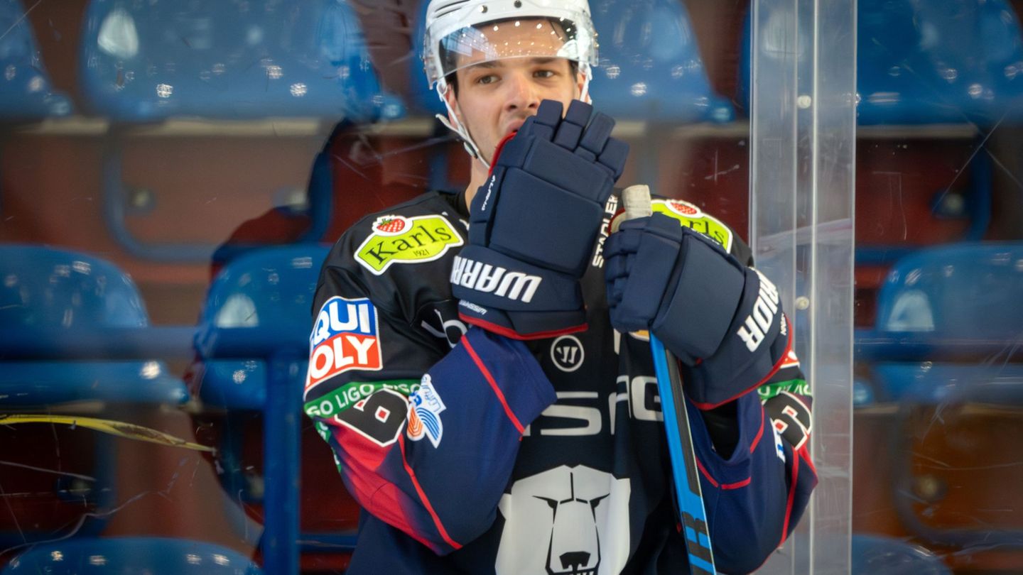 Deutsche Eishockey Liga: Eisbären-Kapitän Wissmann: Saisonziel ist der Titel-Hattrick