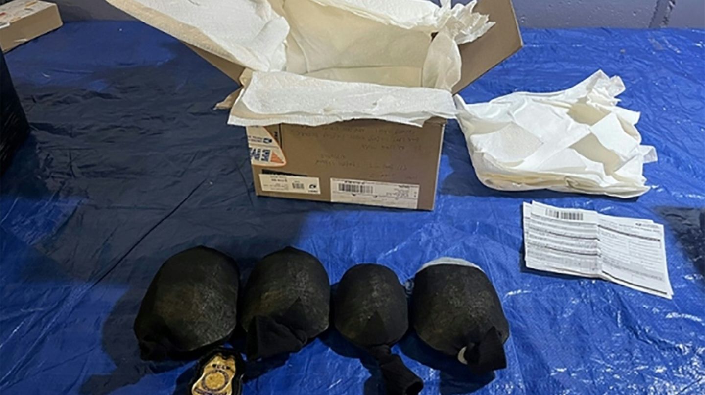 Mann droht wegen Schmuggels hunderter Schildkröten lange Haftstrafe in USA