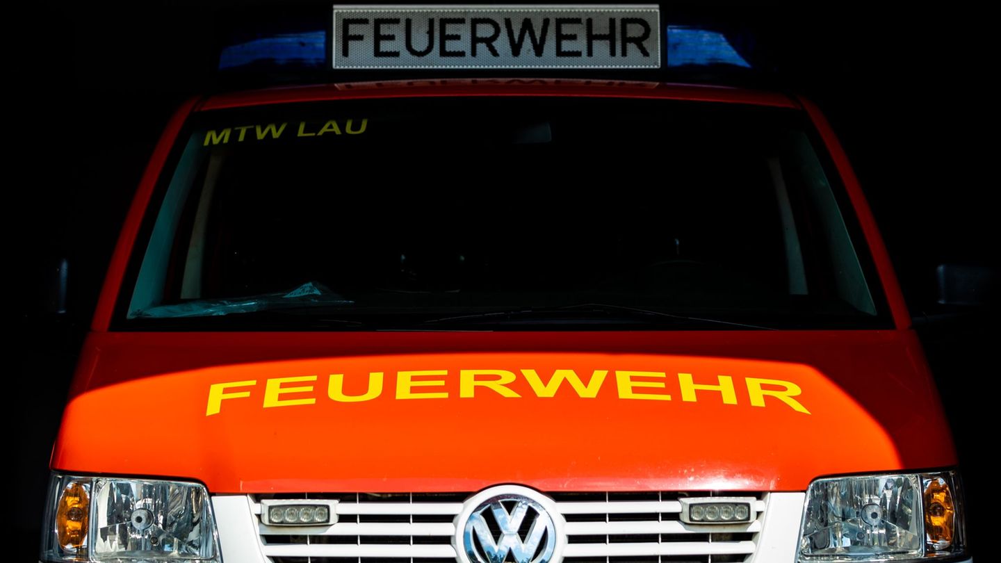 Tierrettung: Kater Carlo in Dachrinne in Not