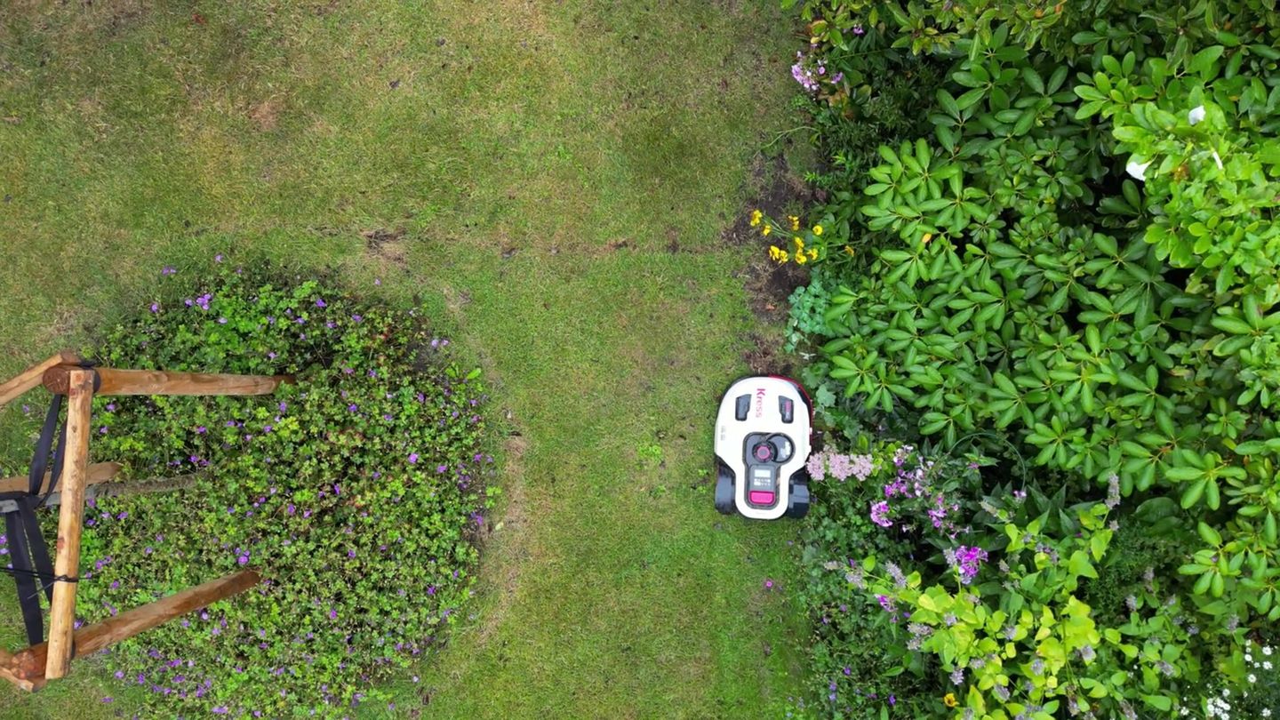 Zum Schutz von Igeln: Nächtliches Fahrverbot für Mähroboter in Halle