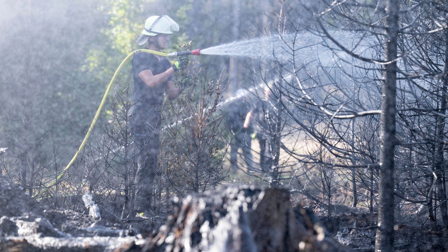 Brände: Erneut Feuer im Wald im Hochtaunuskreis