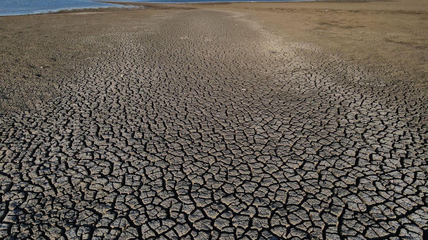 Klima: Trockenheit: Wenn das Wasser knapp wird