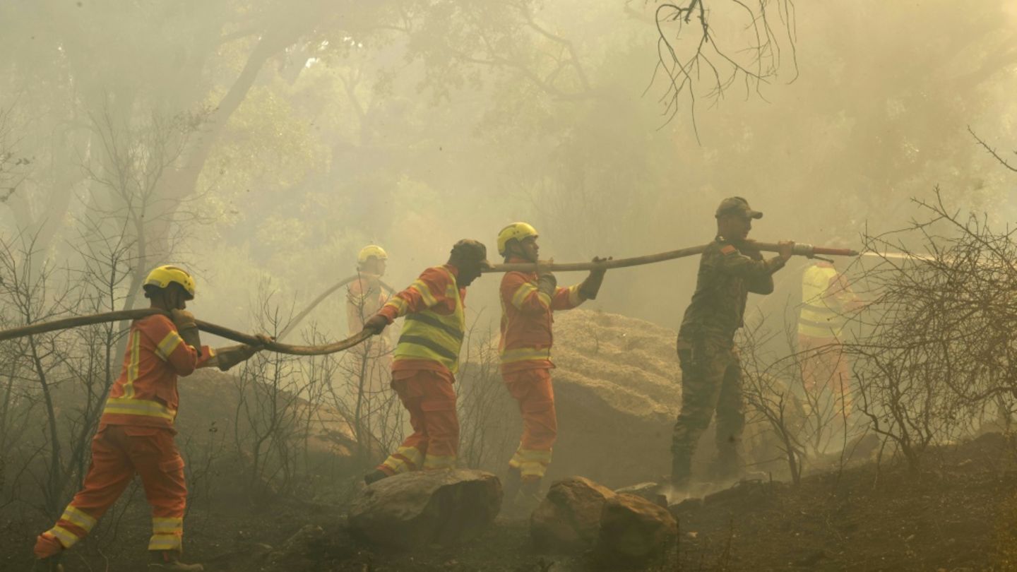 Marokkos Feuerwehr bringt Waldbrand nahe der „Blauen Perle“ Chefchaouen unter Kontrolle