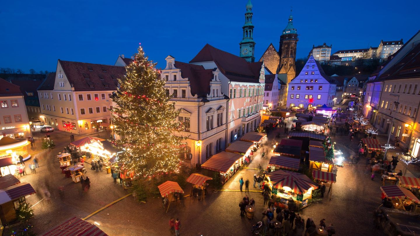 Weihnachten: Weihnachtsmärkte in Dresden und Pirna suchen nach Bäumen