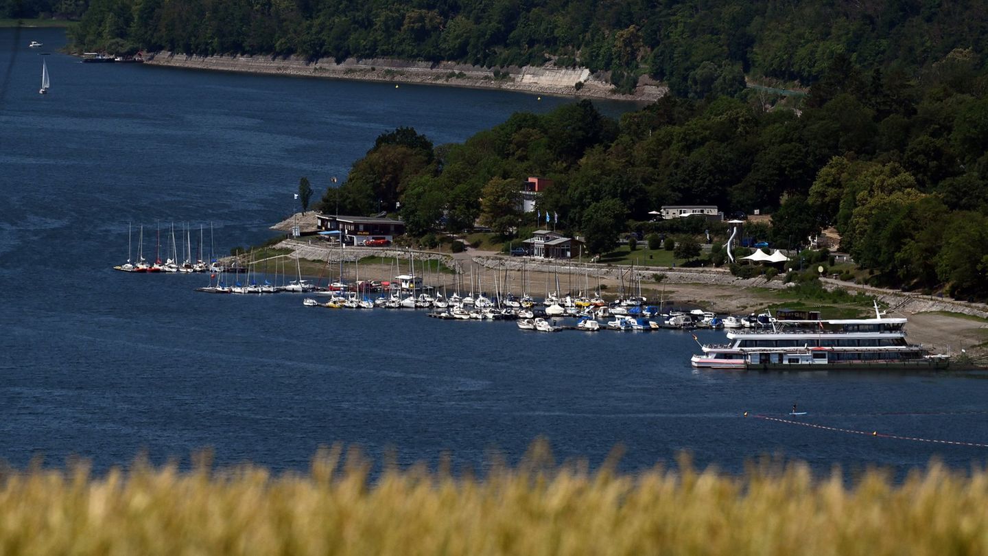 Gesundheit: Blaualgen im Edersee entdeckt