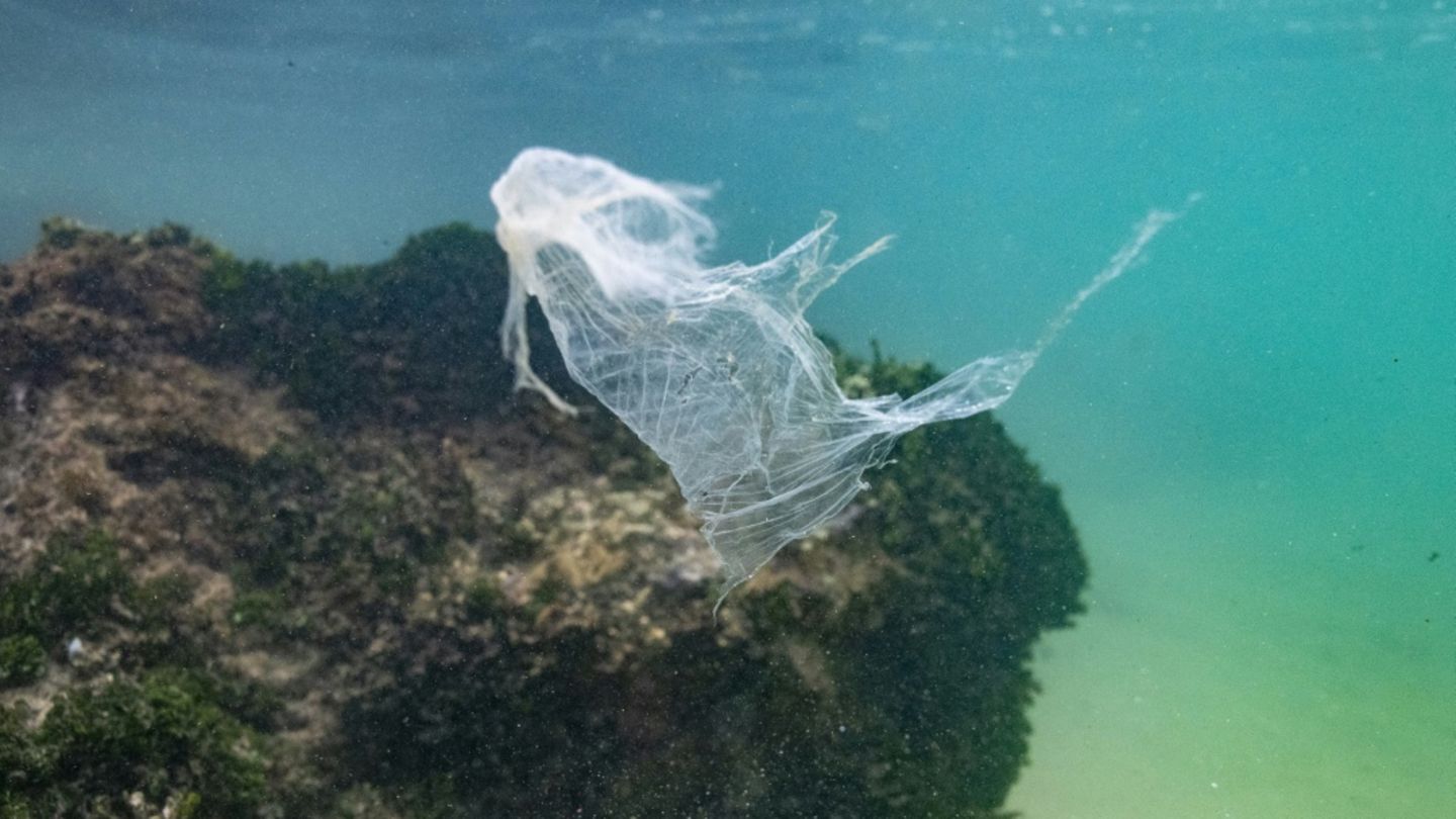 UN-Plastikabkommen: 184 Staaten treffen sich in Genf für letzten Verhandlungstag