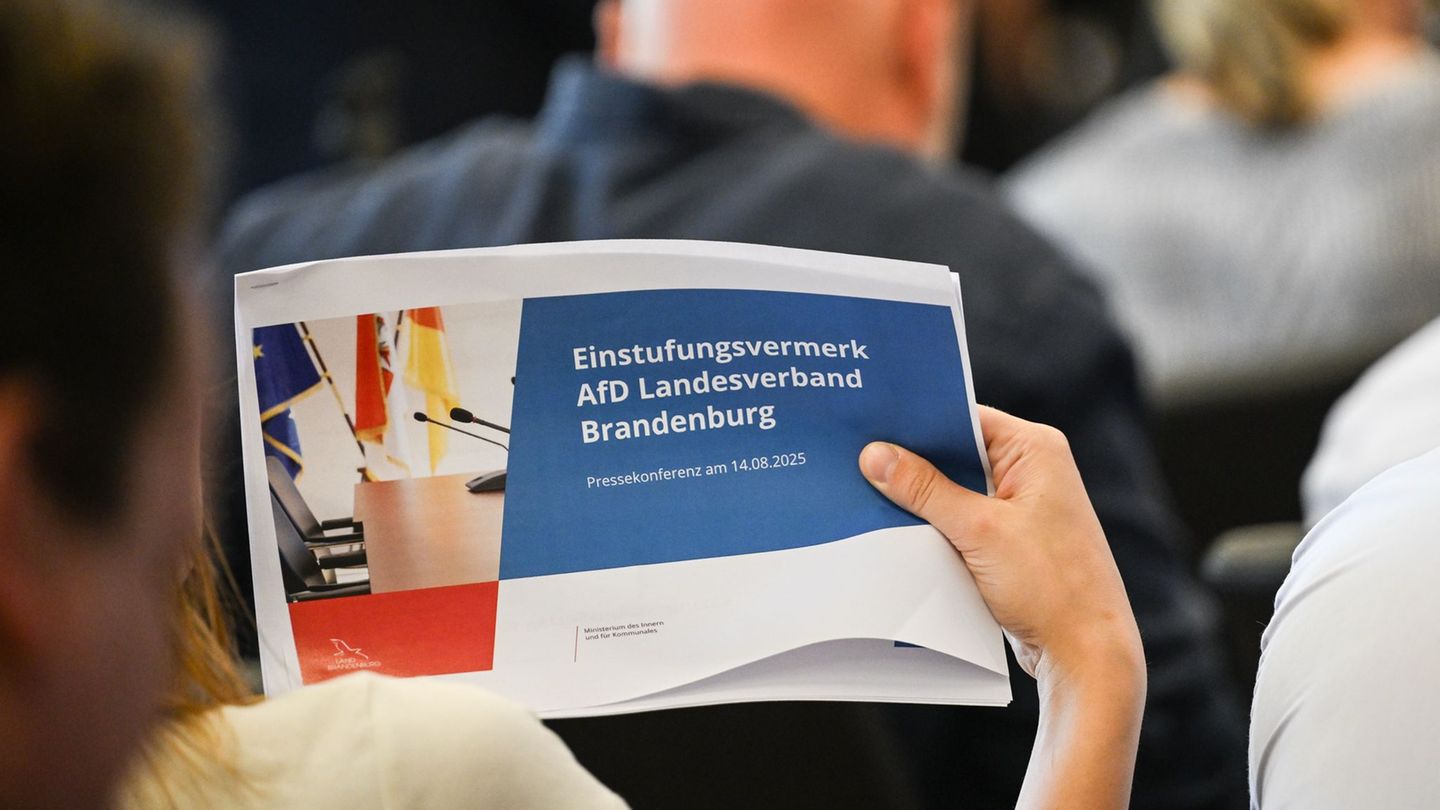 Parteien: SPD und BSW beim Umgang mit AfD-Einstufung uneins