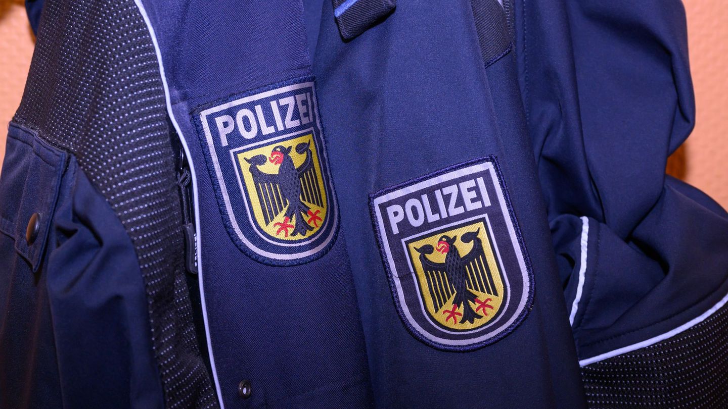 Tiere: Katze sorgt für Polizeieinsatz in Regionalbahn