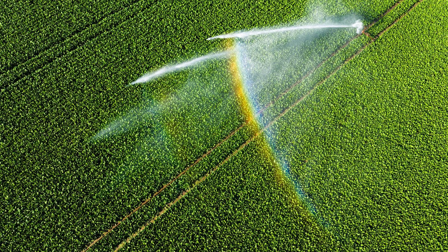 Wasser: Grundwassersituation an Mehrheit der Messstellen entspannt