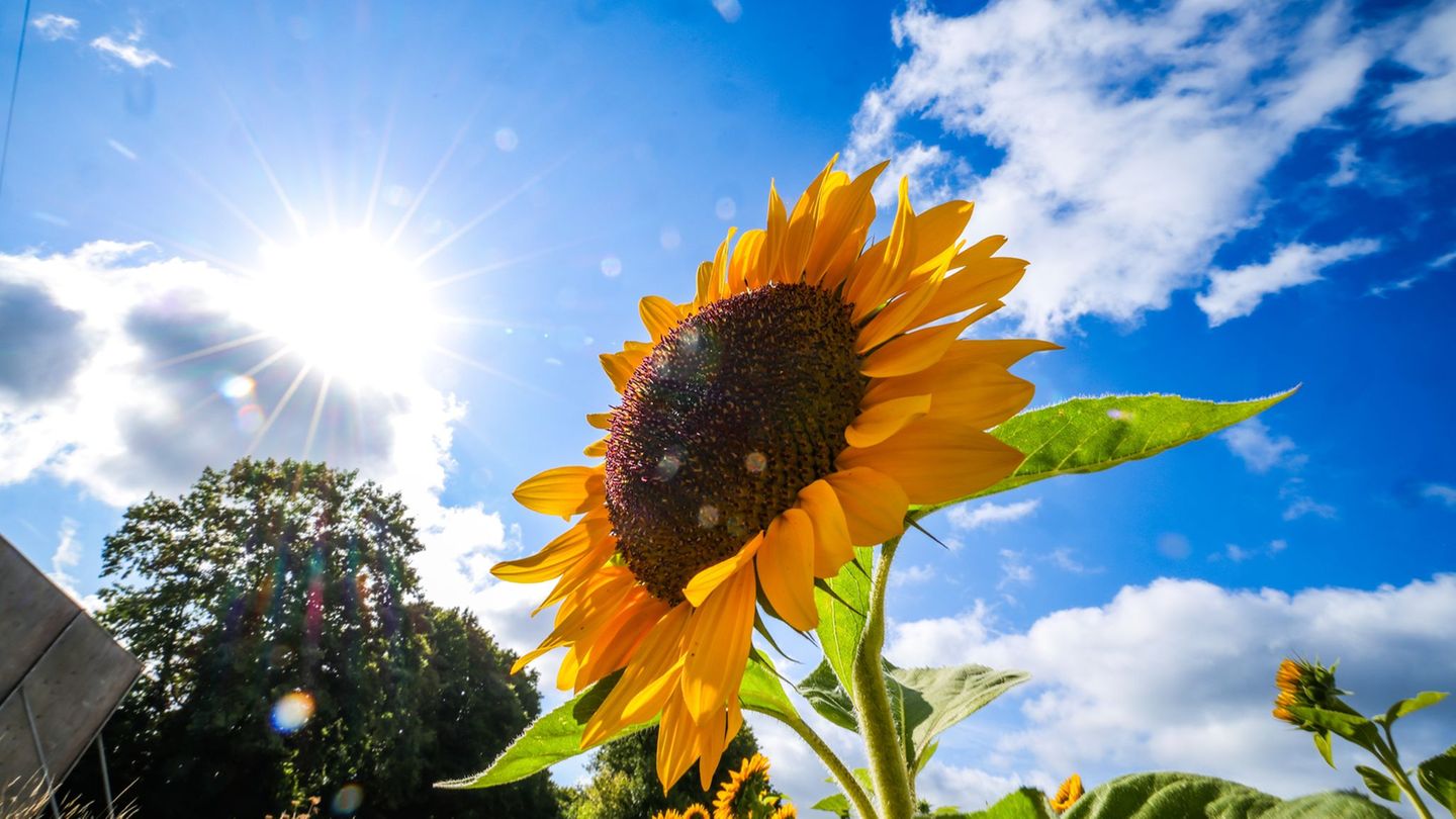 Wetter: Sonne und Wolken wechseln sich über NRW ab
