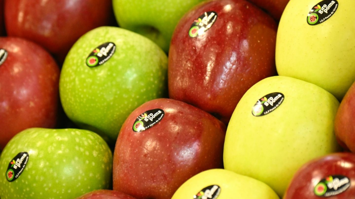 Obstbauern erwarten überdurchschnittliche Apfelernte