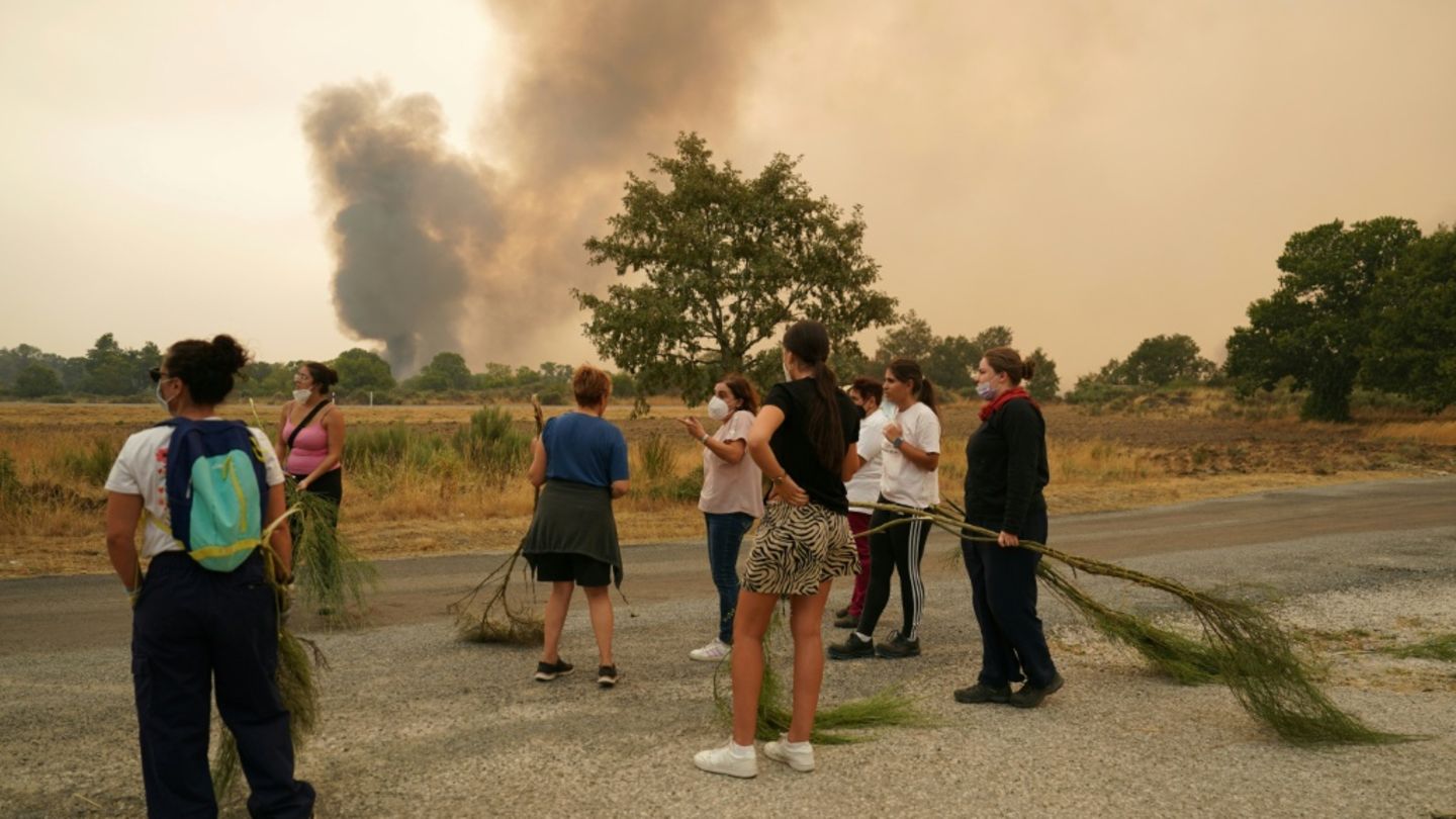 Rekord-Fläche an Land in diesem Jahr durch Waldbrände in Spanien zerstört