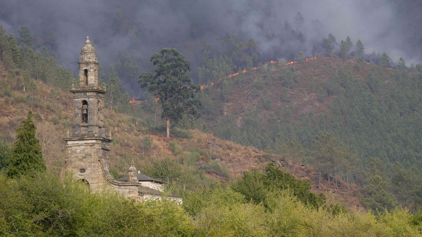 Feuer: Viertes Todesopfer bei verheerenden Waldbränden in Spanien