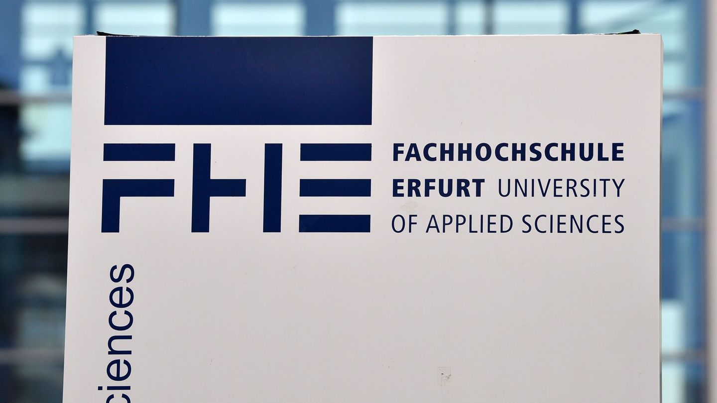 Wissenschaftsförderung: Bund gibt sieben Millionen Euro für Holzprojekt frei