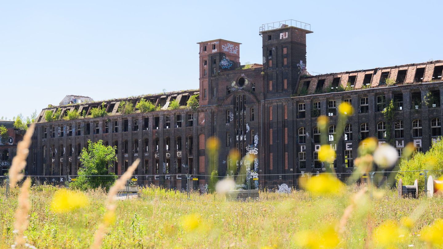 Historische Gebäude: „Schwarzbuch“: Denkmale in Niedersachsen bedroht