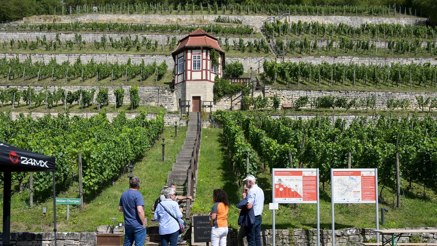 Tourismus: Etwas mehr Gäste, aber weniger Übernachtungen