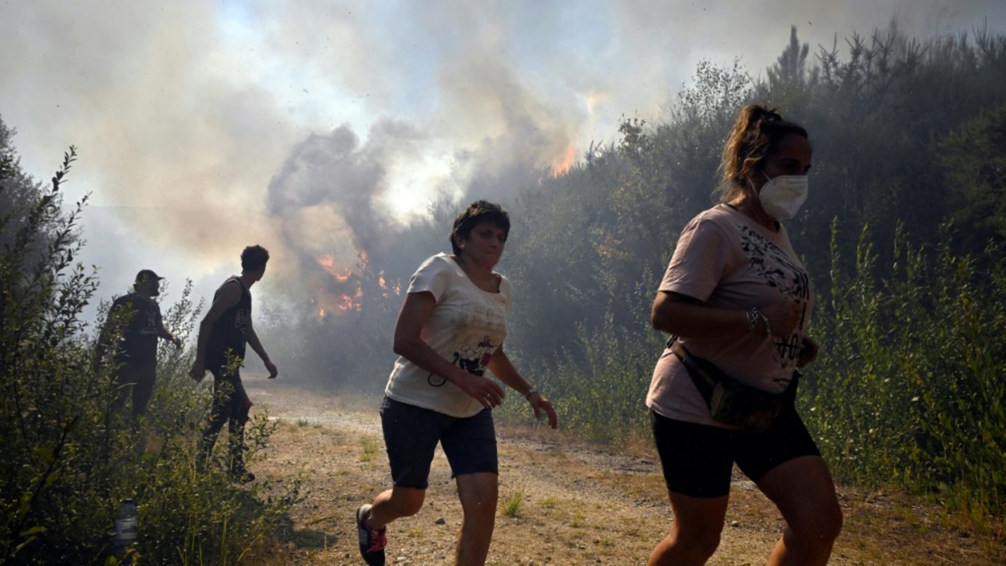 Rekord-Waldbrände in Spanien zerstören weitere 30.000 Hektar Land