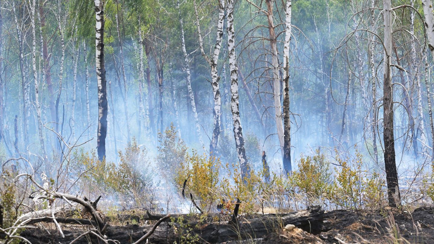 Feuerwehreinsatz: Waldbrand bei Bernau – Warnung der Feuerwehr