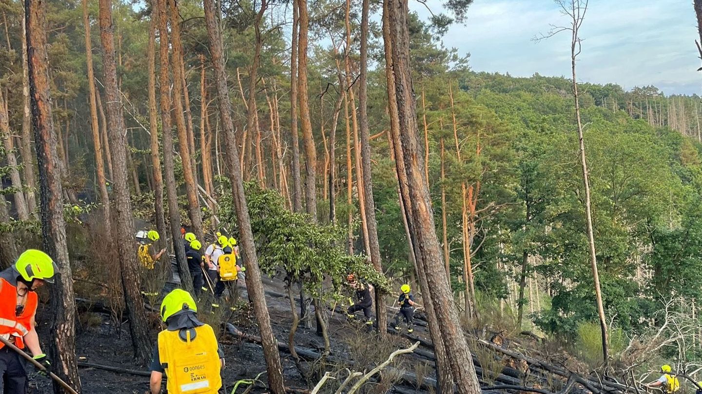 Löscharbeiten: Waldbrand im Nationalpark Eifel: Feuerwehr weiter im Einsatz