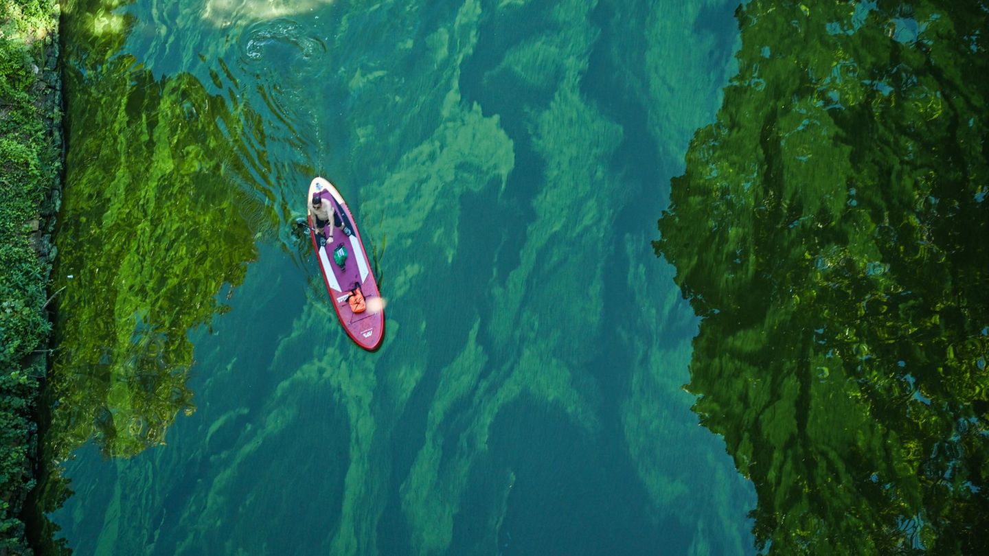 Gefahr beim Baden: Von Blaualgen kaum eine Spur – Daumen hoch für Badeseen