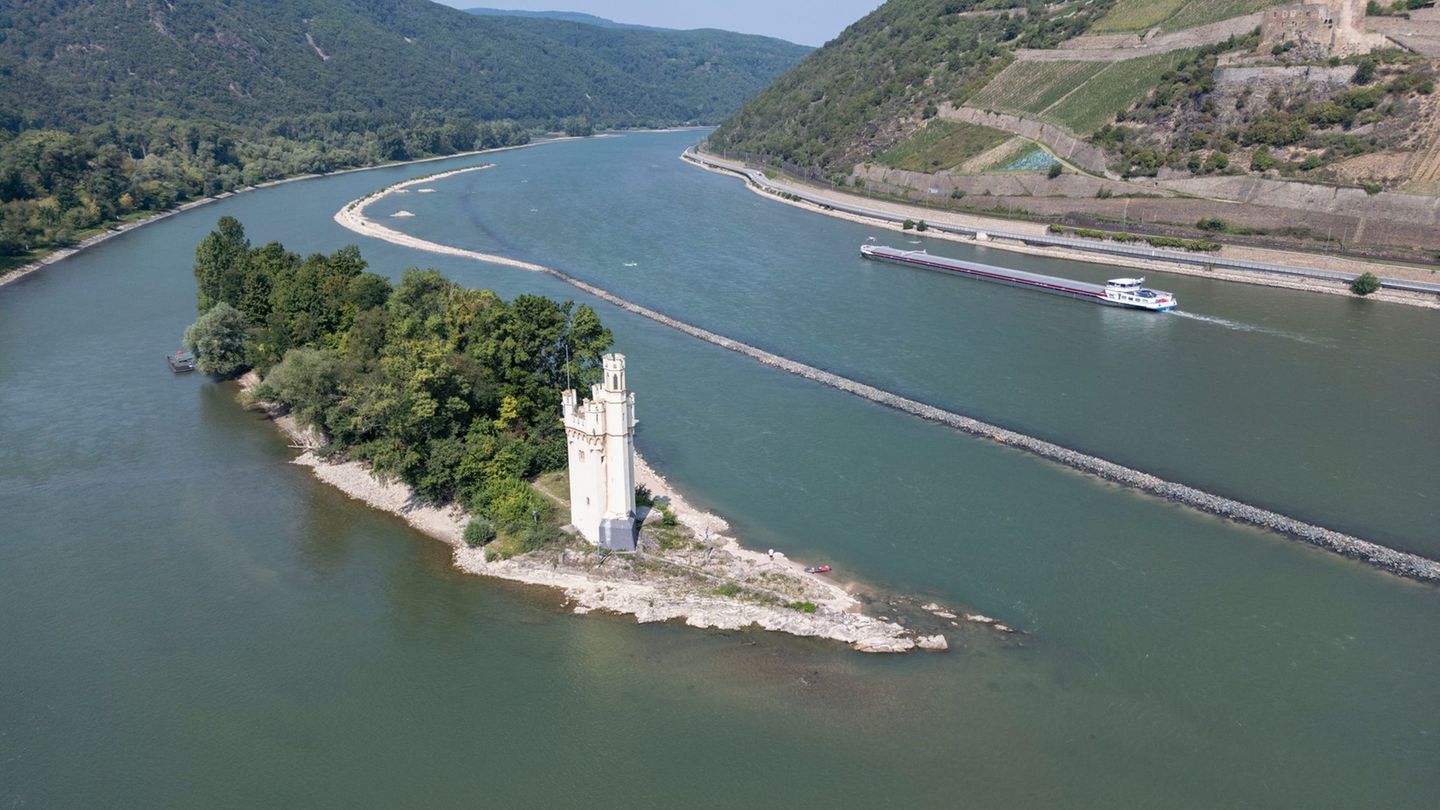 Wichtige Wasserstraße: Schifffahrt trotz Niedrigwassers – Rhein soll tiefer werden