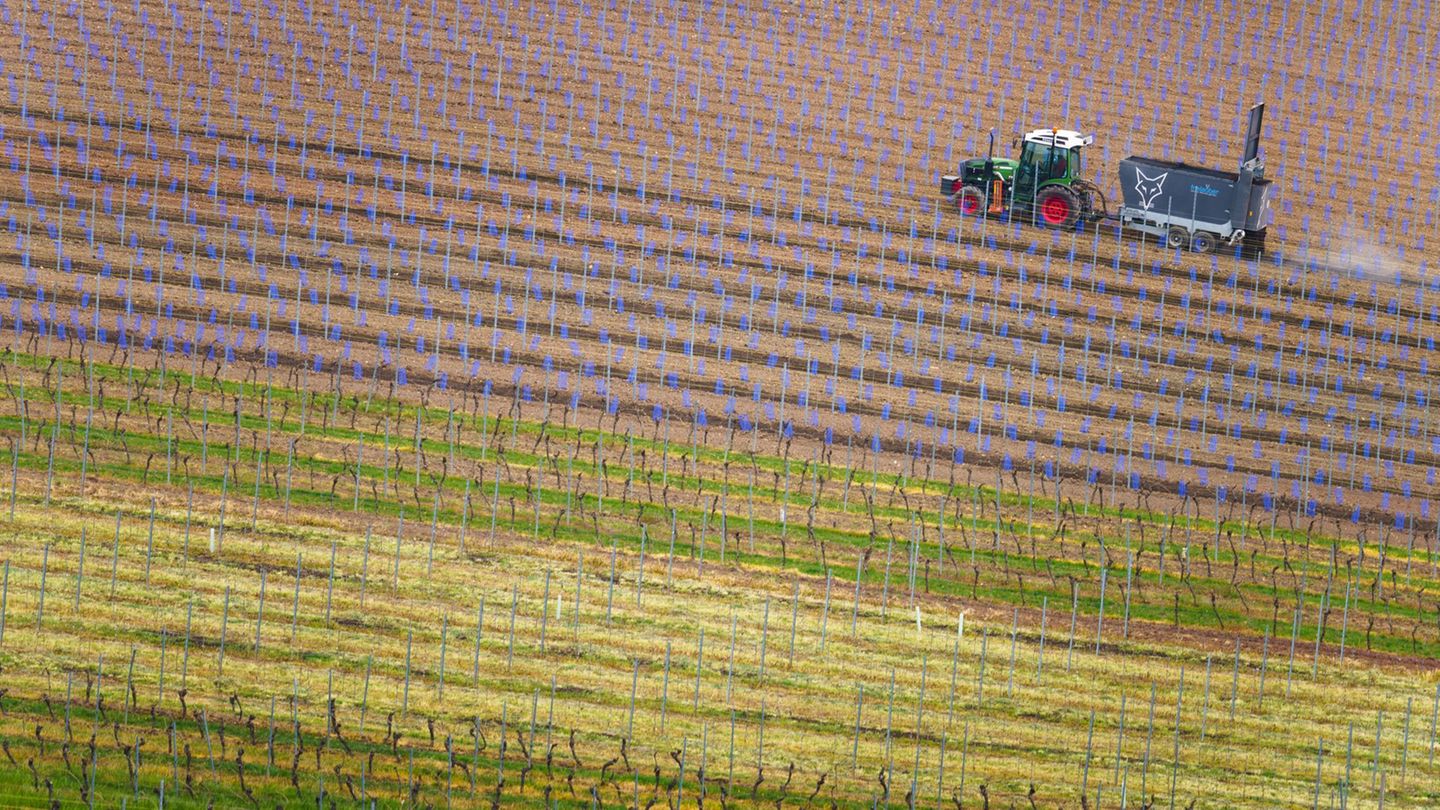 Rettungshubschrauber-Einsatz: Mann kippt mit Trecker um und wird lebensgefährlich verletzt