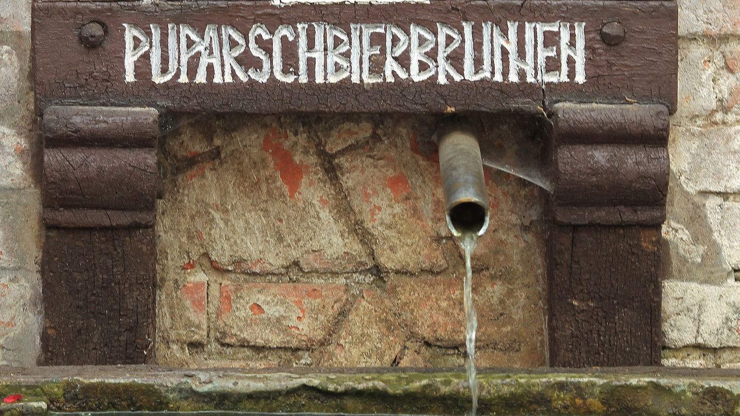 Kriminalität: „Puparsch“ gesucht – Salzwedel sucht Ersatz für Holzpo