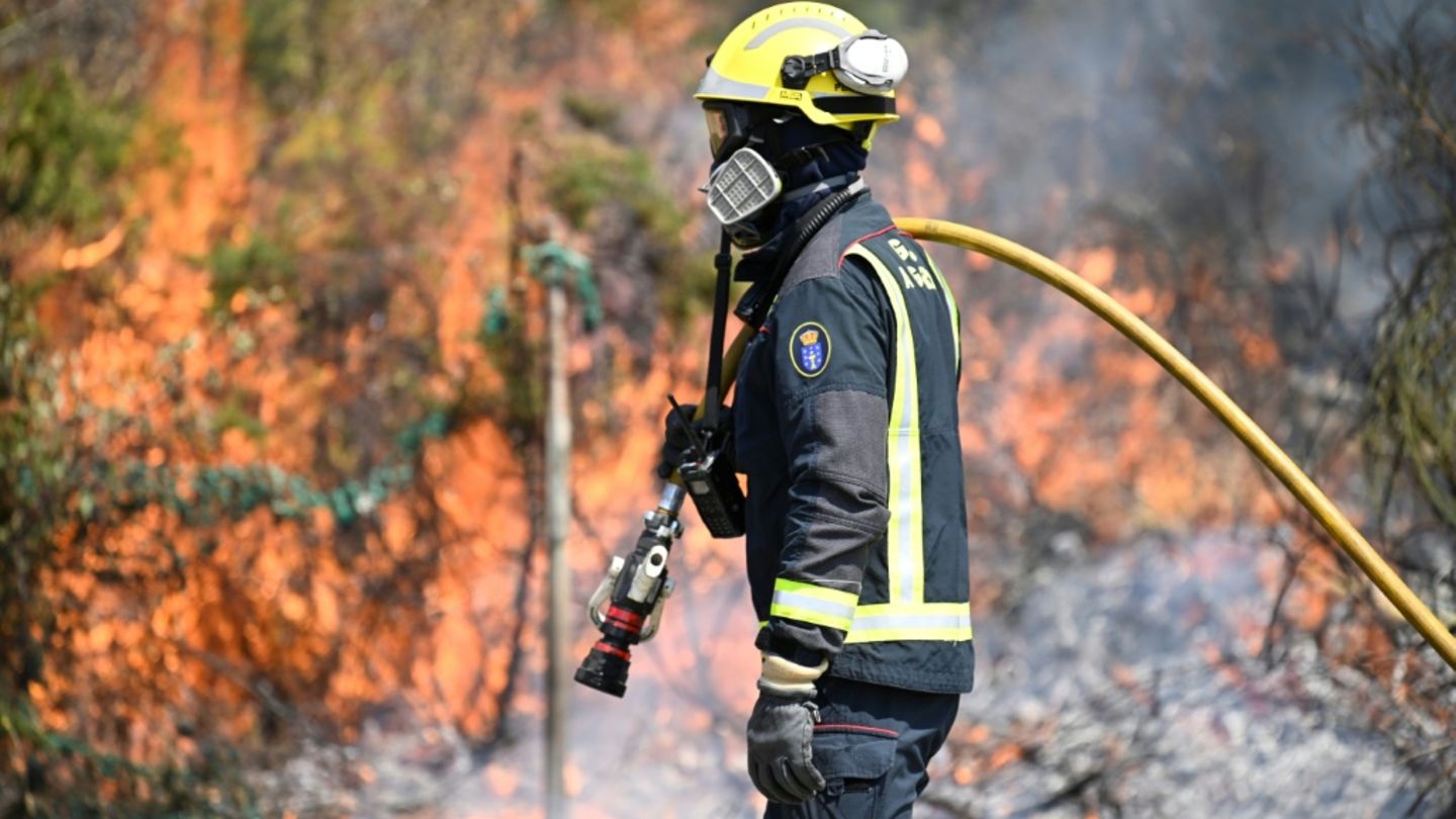 Acht Tote durch Waldbrände auf Iberischer Halbinsel – Entspannung in Spanien