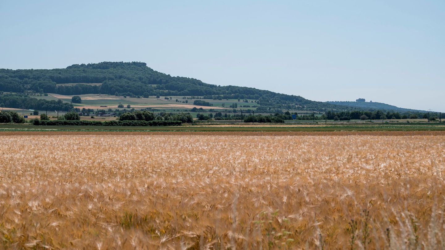 Wetter und Klima: LfU: August in Bayern deutlich zu trocken