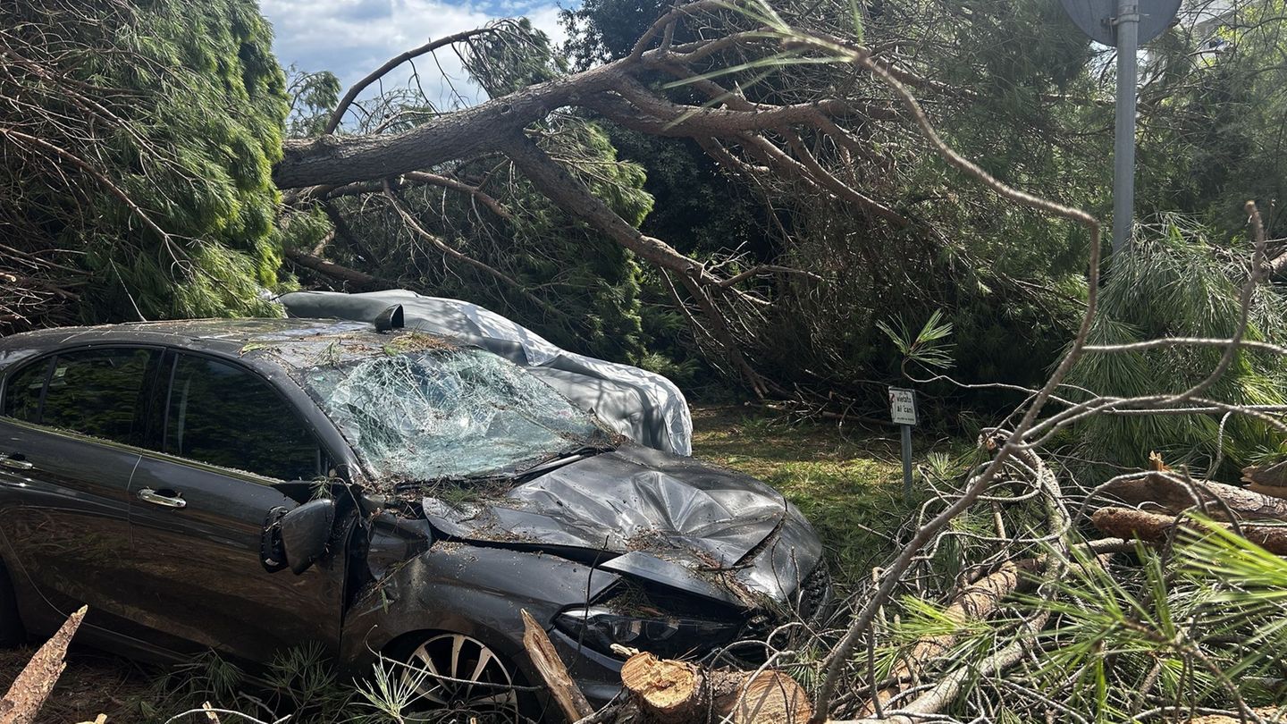 Wetter: Unwetter richtet rund um Rimini schwere Schäden an
