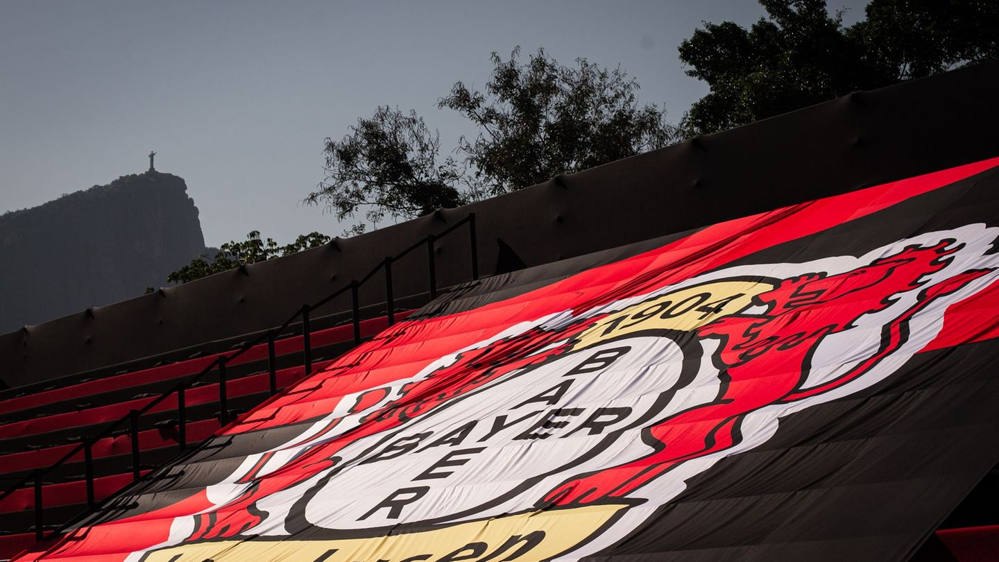 Fußball-Bundesliga: Bericht: Leverkusen vor Transfer von Argentinier Fernandez