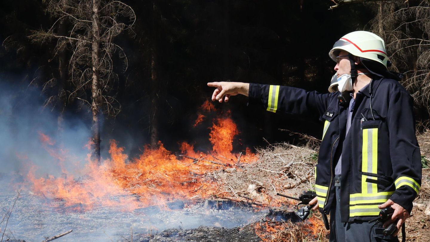 Löschen im Wald: Mehr kleine Waldbrände im trockenen Frühjahr
