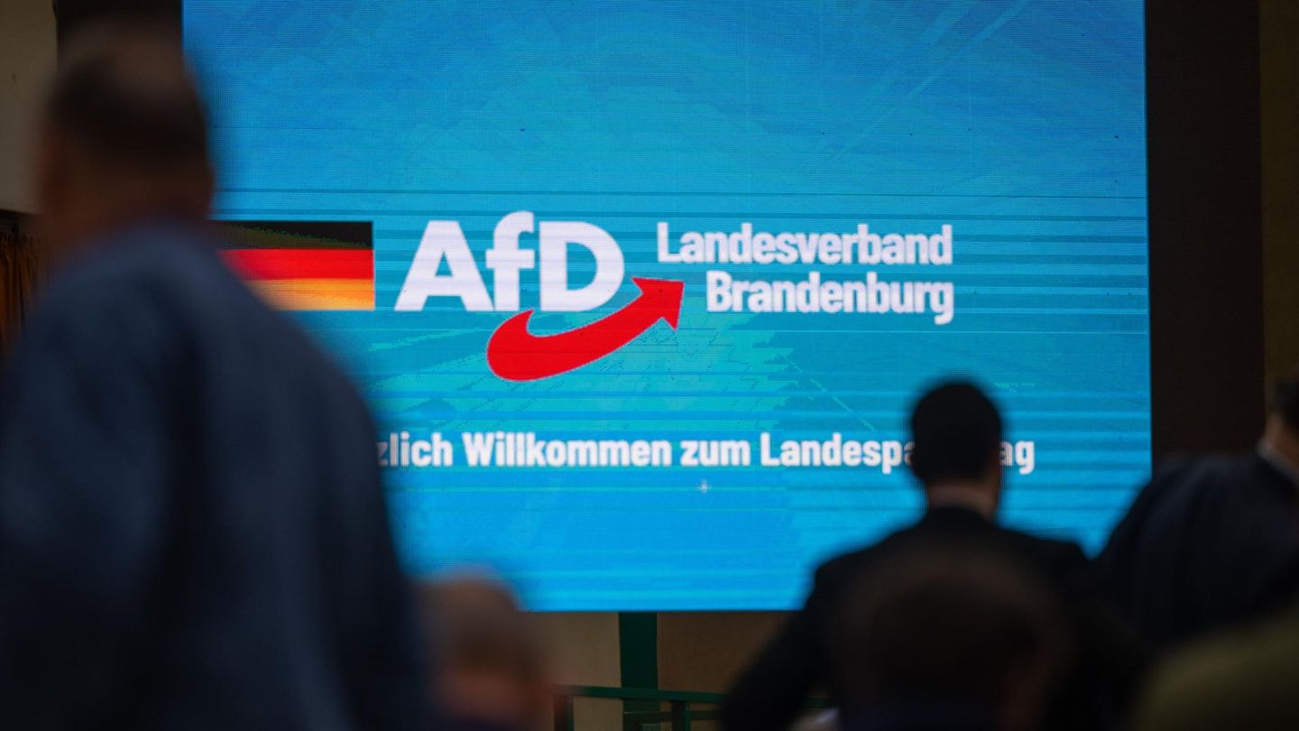 Landesverband in Ostdeutschland: AfD in Brandenburg verstößt laut Verfassungsschutz gegen Menschenwürde