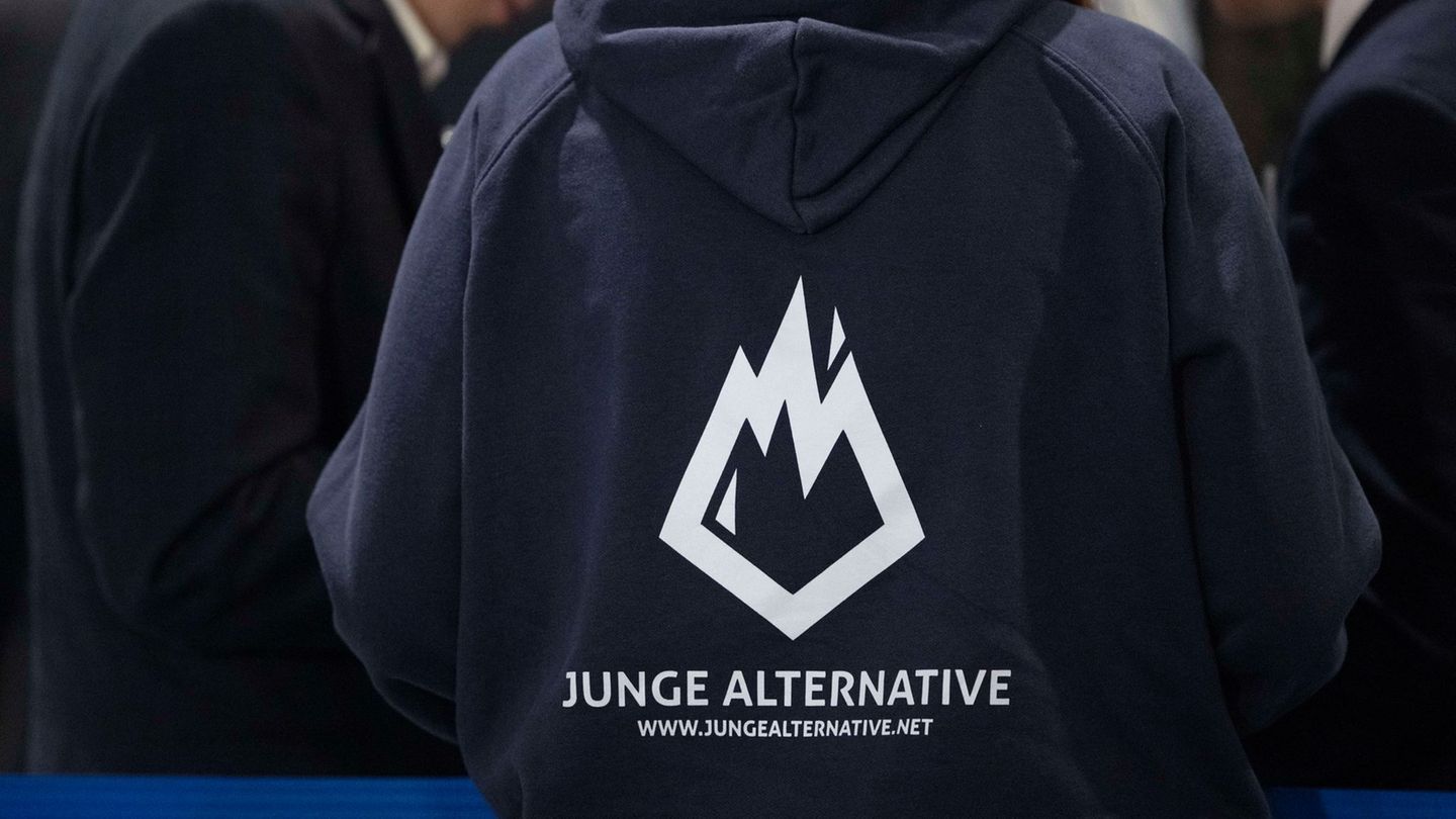 Parteinachwuchs: AfD gründet neue Jugendorganisation