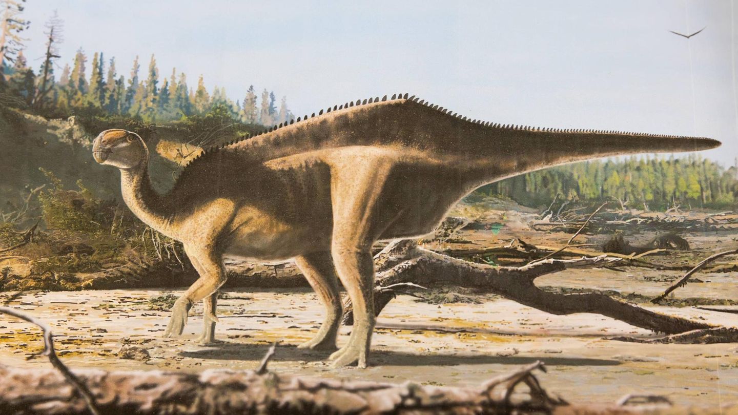 Istiorachis macarthurae: Britische Forscher entdecken neue Dinosaurier-Art mit Hautsegel