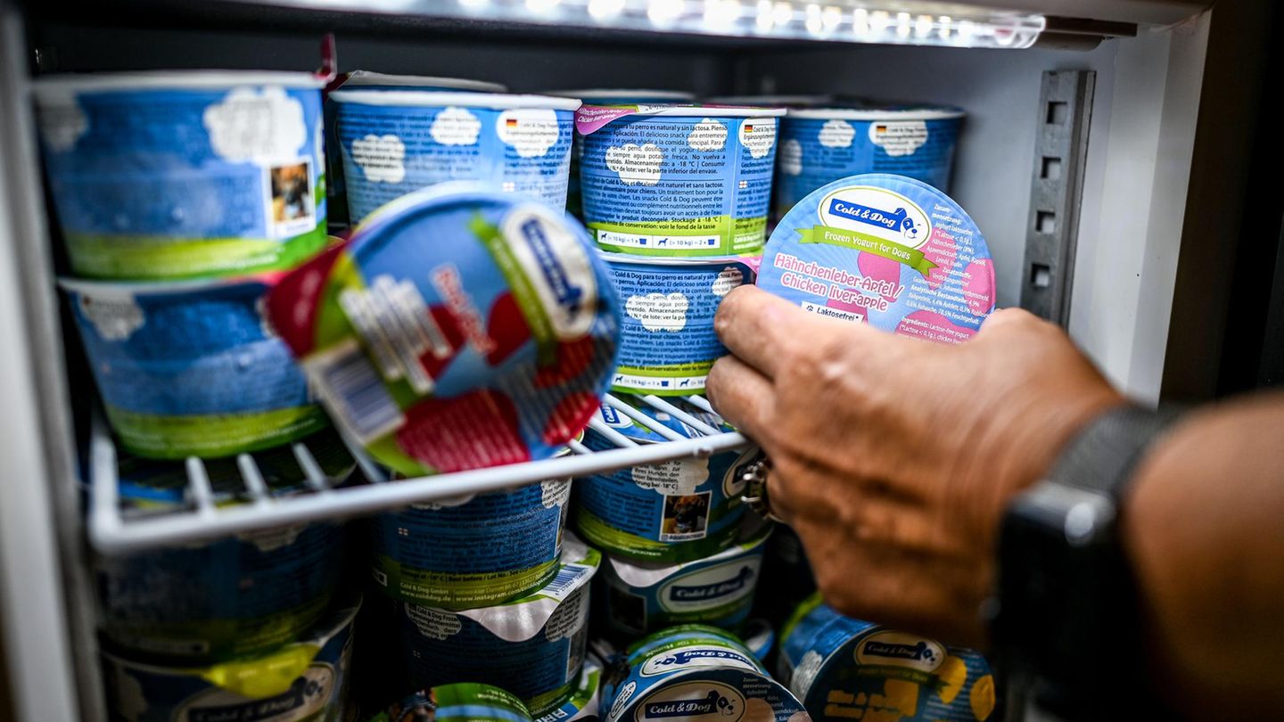 Kriminalität: Unbekannte klauen Eis aus Kühlschrank in Kindergarten